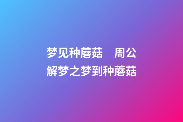 梦见种蘑菇　周公解梦之梦到种蘑菇